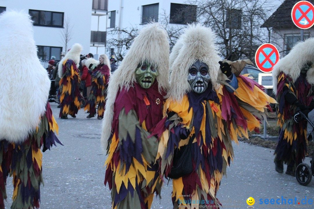 Fasnetsumzug und Party mit Fly: Kau am Bodensee, 15.02.2025