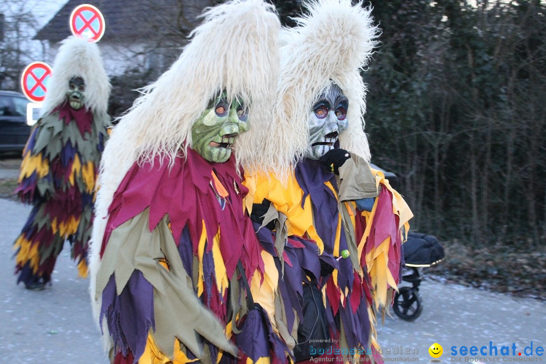 Fasnetsumzug und Party mit Fly: Kau am Bodensee, 15.02.2025