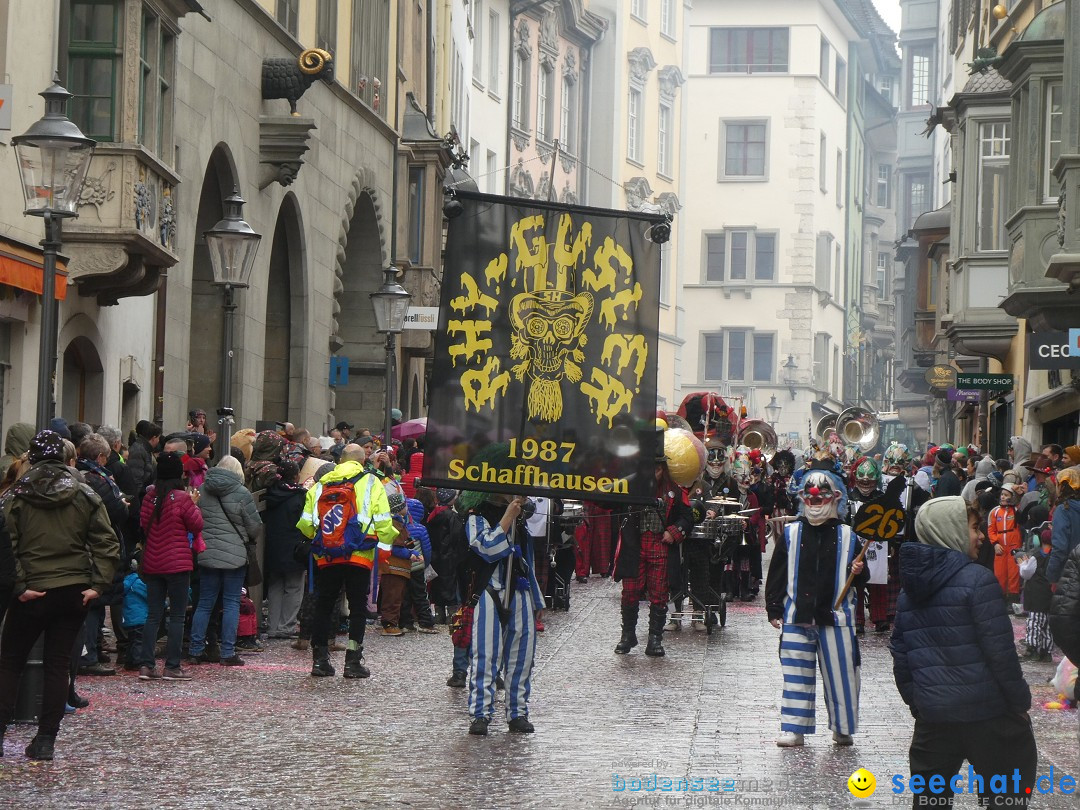 Fasnachtsumzug: Schaffhausen - Schweiz, 23.02.2025