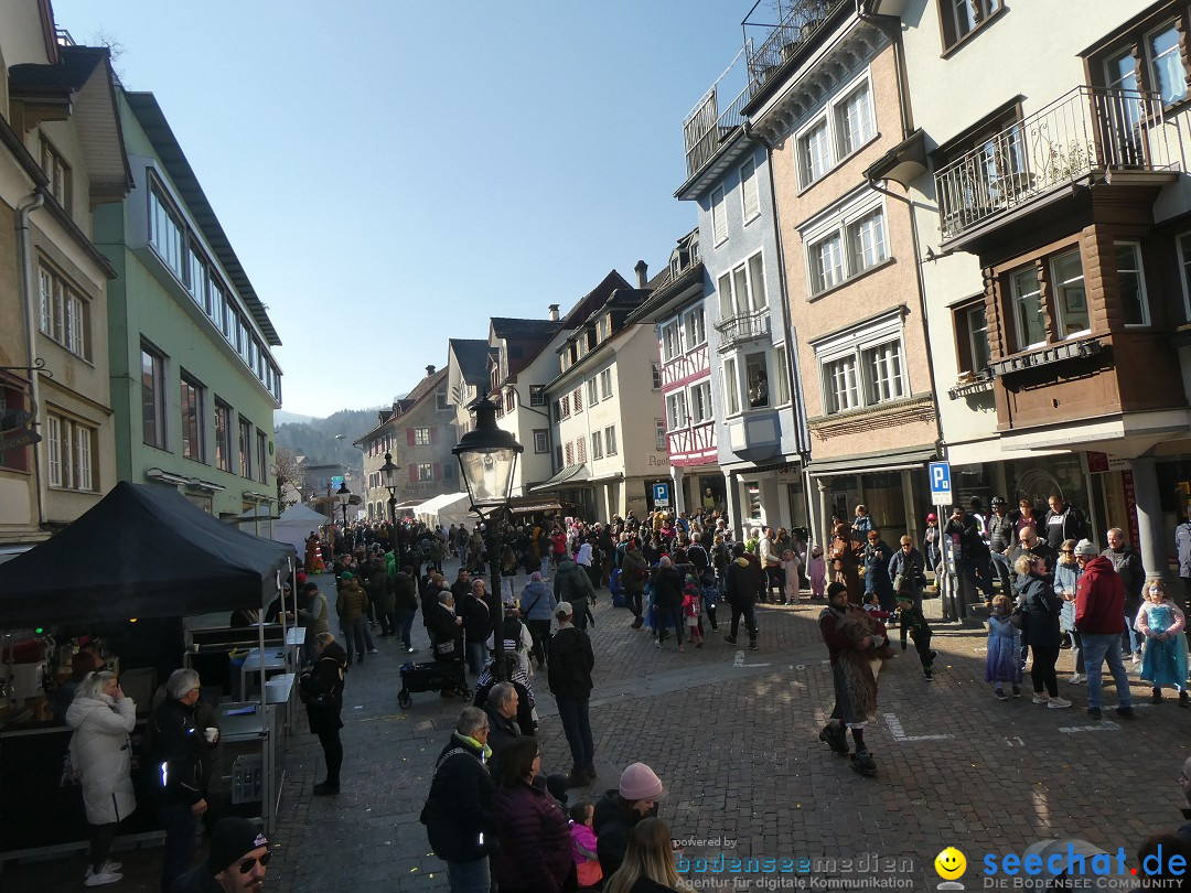 Fasnachtsumzug - Altstaetten am Bodensee, 02.03.2025