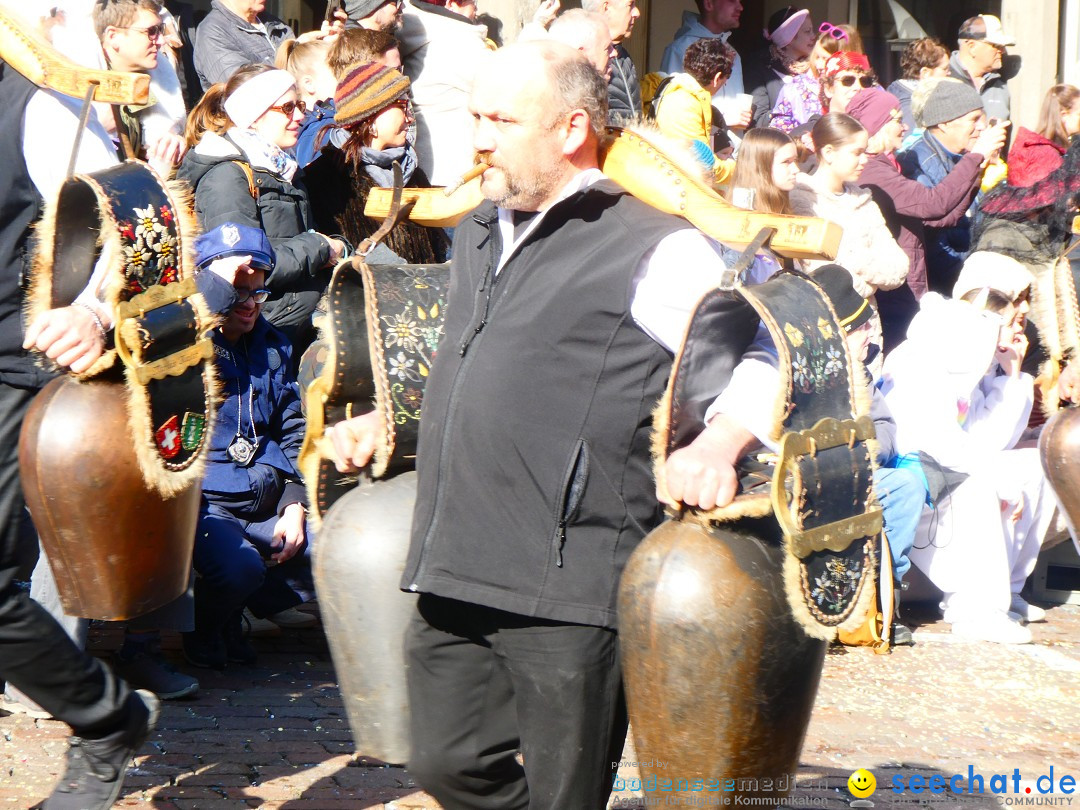 Fasnachtsumzug - Altstaetten am Bodensee, 02.03.2025