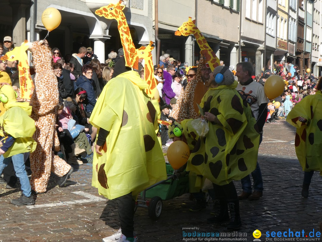 Fasnachtsumzug - Altstaetten am Bodensee, 02.03.2025