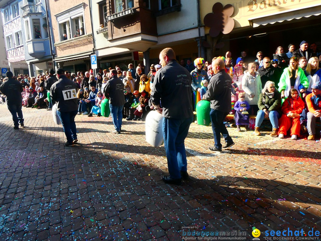 Fasnachtsumzug - Altstaetten am Bodensee, 02.03.2025