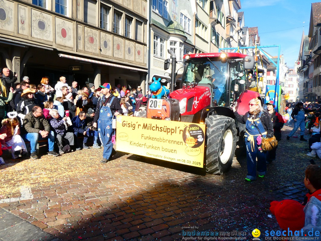 Fasnachtsumzug - Altstaetten am Bodensee, 02.03.2025