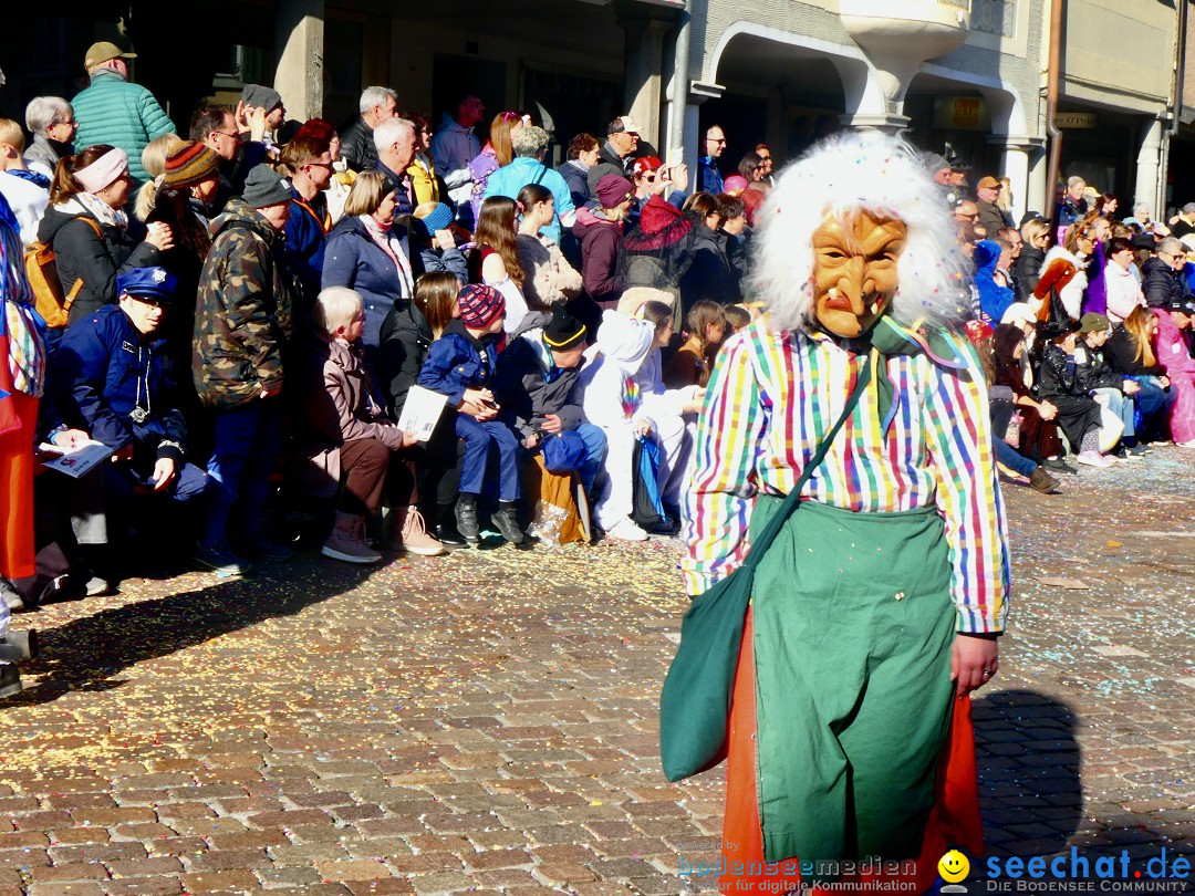 Fasnachtsumzug - Altstaetten am Bodensee, 02.03.2025