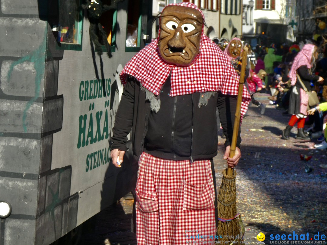 Fasnachtsumzug - Altstaetten am Bodensee, 02.03.2025