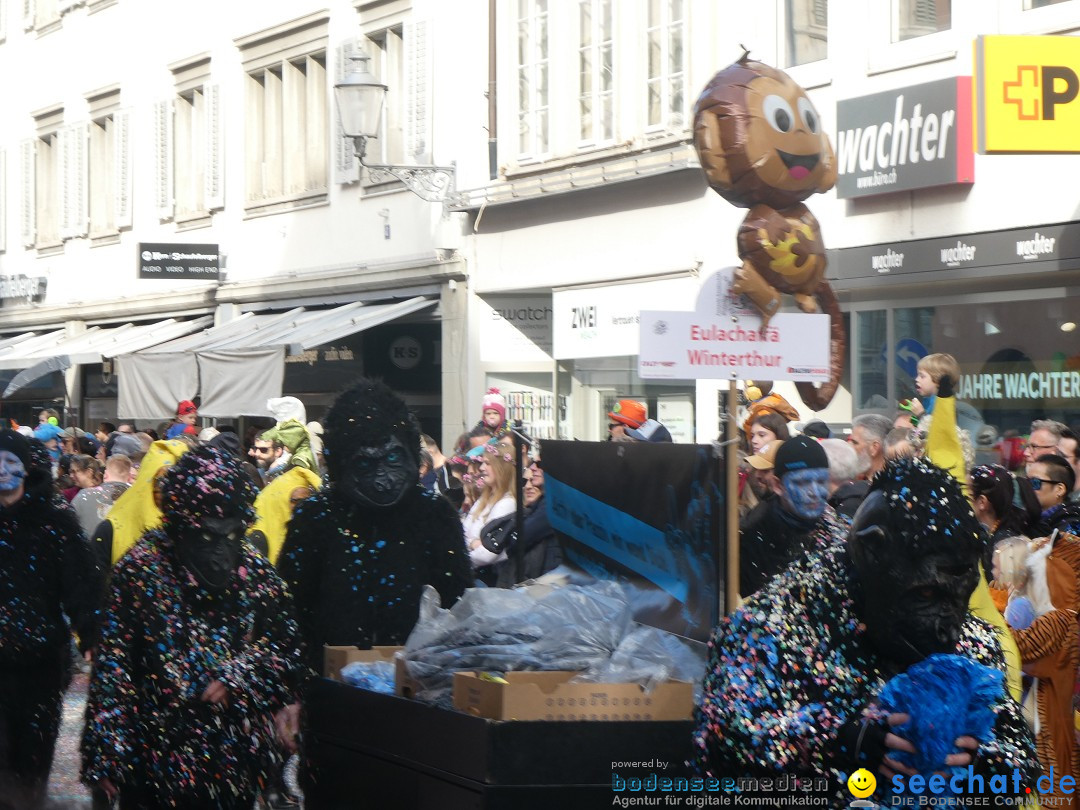 Fasnachtsumzug - Winterthur - Schweiz, 10.03.2025