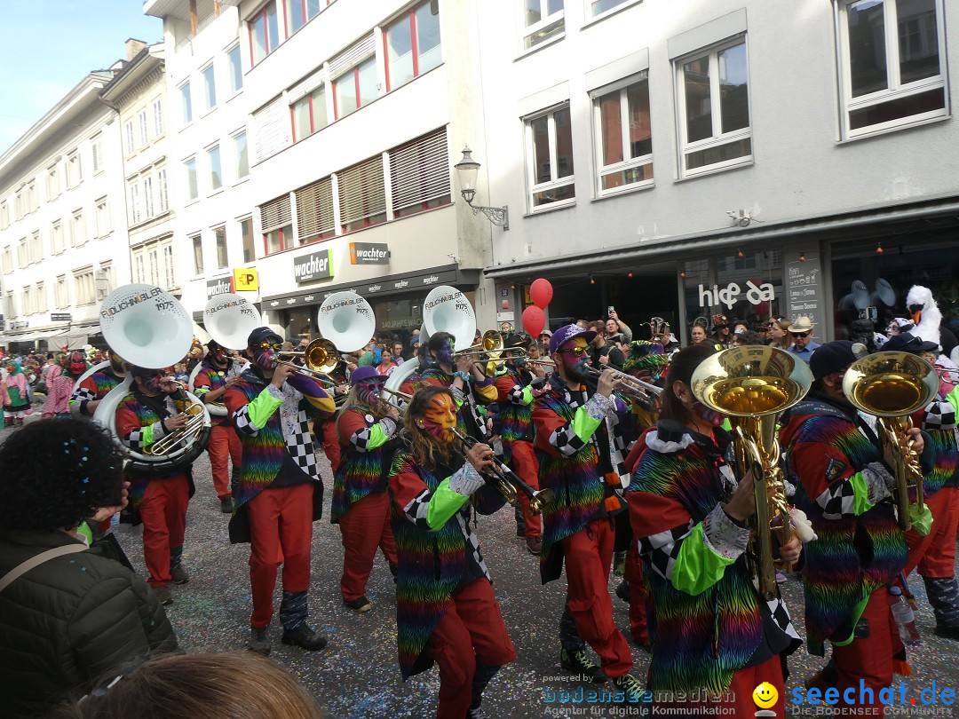 Fasnachtsumzug - Winterthur - Schweiz, 10.03.2025