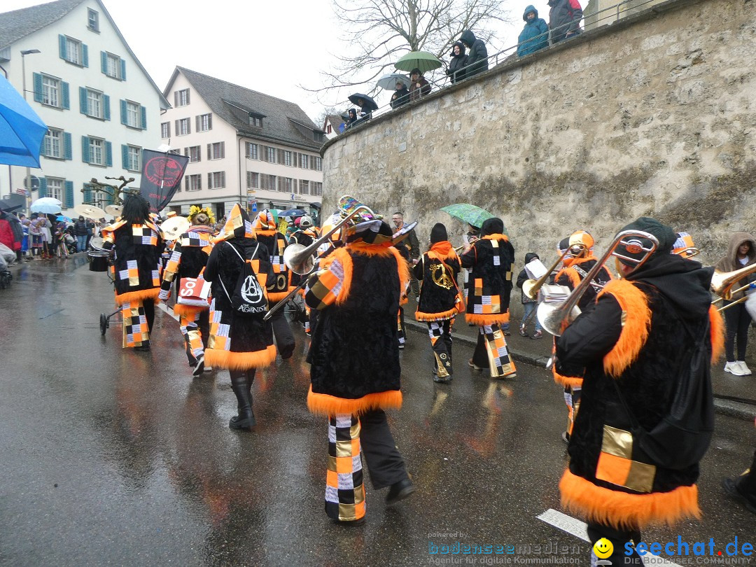 Fasnachtsumzug - Andelfingen - Schweiz, 16.03.2025