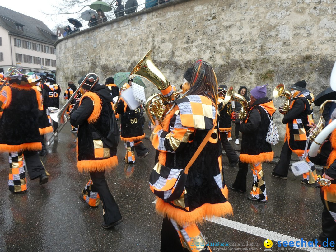 Fasnachtsumzug - Andelfingen - Schweiz, 16.03.2025