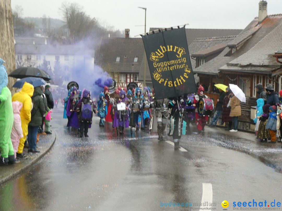 Fasnachtsumzug - Andelfingen - Schweiz, 16.03.2025