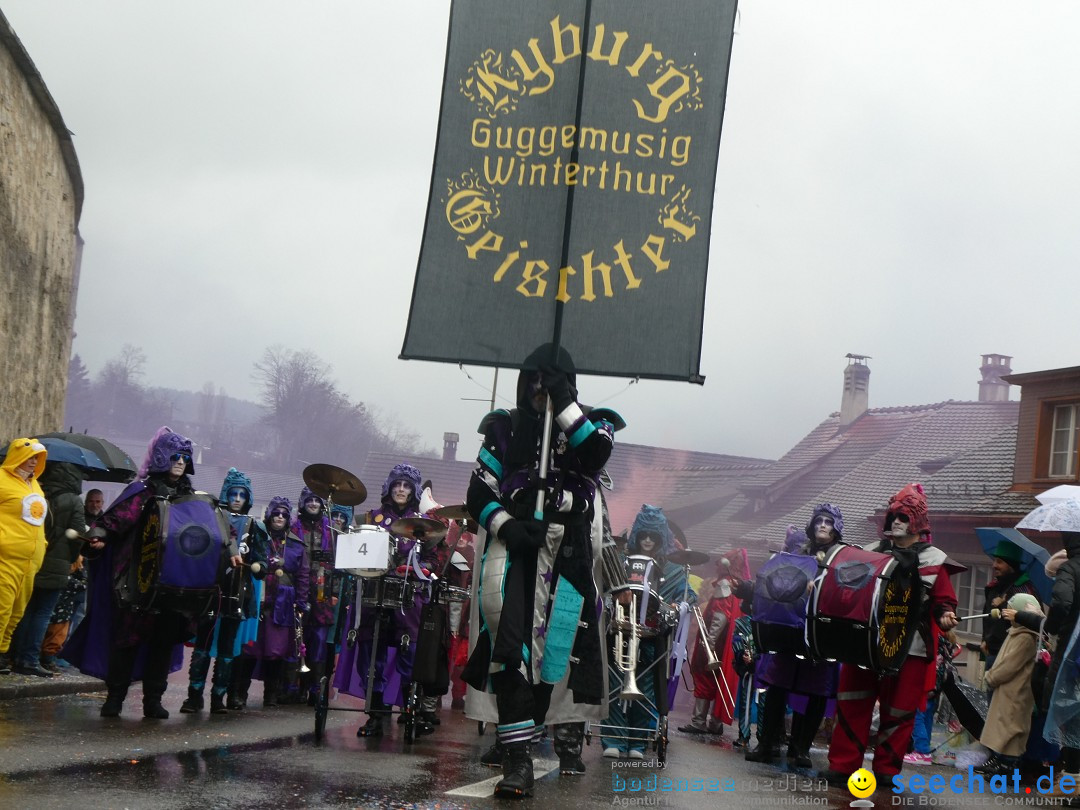 Fasnachtsumzug - Andelfingen - Schweiz, 16.03.2025