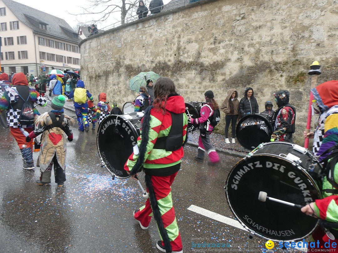 Fasnachtsumzug - Andelfingen - Schweiz, 16.03.2025