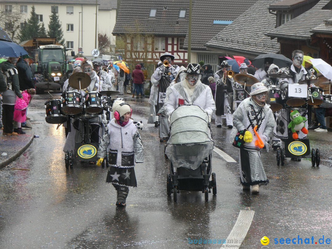 Fasnachtsumzug - Andelfingen - Schweiz, 16.03.2025