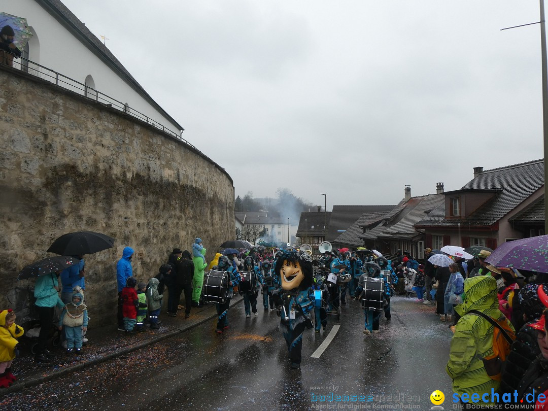 Fasnachtsumzug - Andelfingen - Schweiz, 16.03.2025