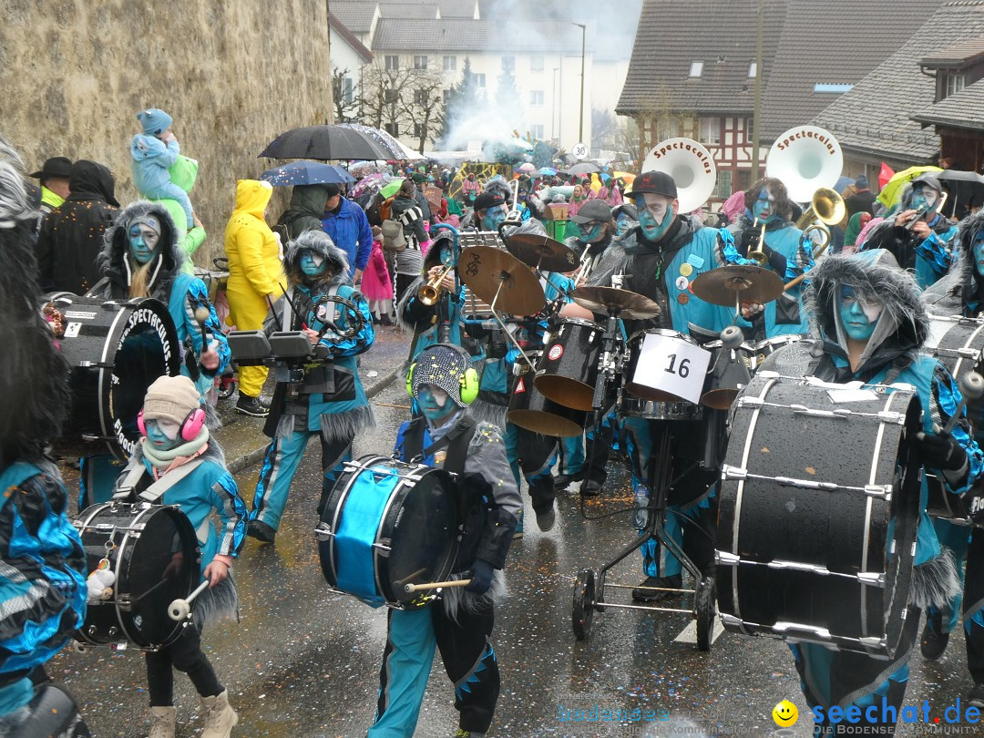 Fasnachtsumzug - Andelfingen - Schweiz, 16.03.2025