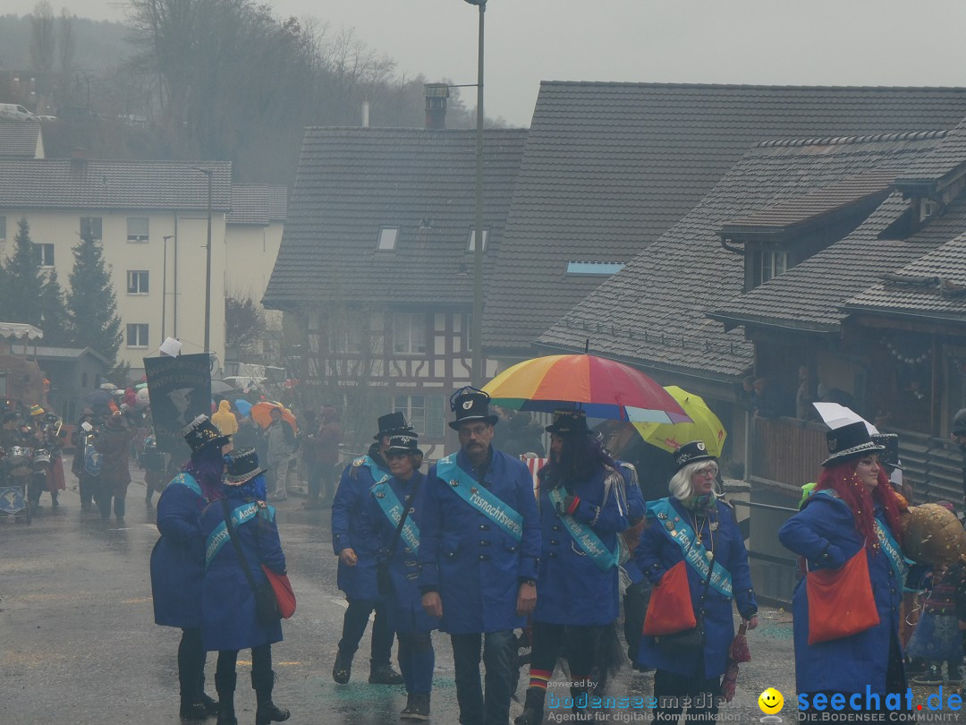 Fasnachtsumzug - Andelfingen - Schweiz, 16.03.2025