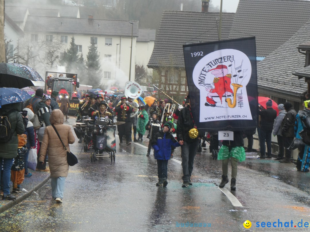 Fasnachtsumzug - Andelfingen - Schweiz, 16.03.2025