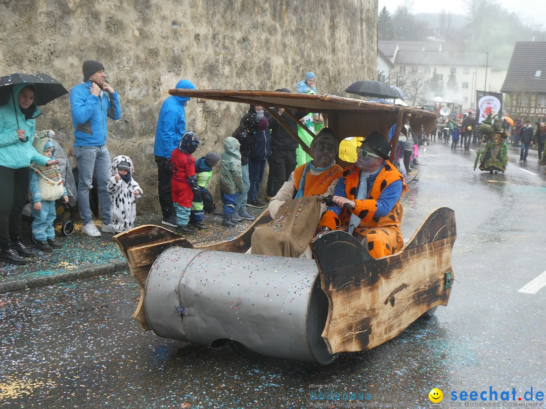 Fasnachtsumzug - Andelfingen - Schweiz, 16.03.2025