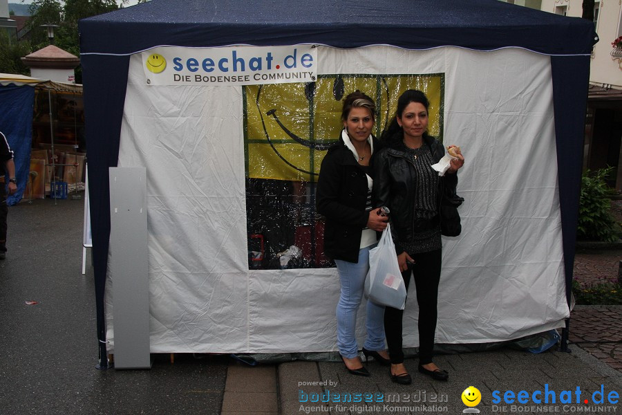 seechat.de Stand auf dem Schweizerfeiertag: Stockach, 19.06.2010