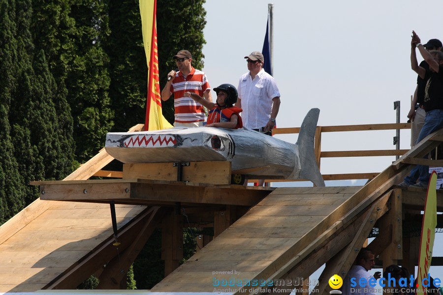 4. Internationales Seehafenfliegen 2010: Lindau am Bodensee, 26.06.2010