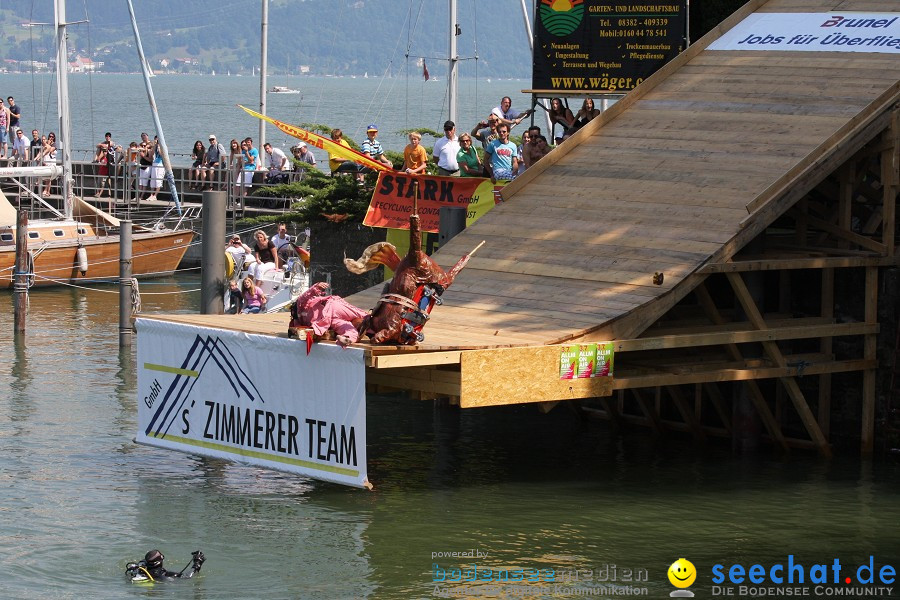 4. Internationales Seehafenfliegen 2010: Lindau am Bodensee, 26.06.2010