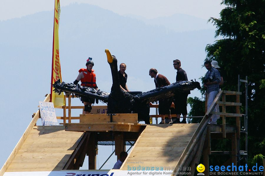 4. Internationales Seehafenfliegen 2010: Lindau am Bodensee, 26.06.2010