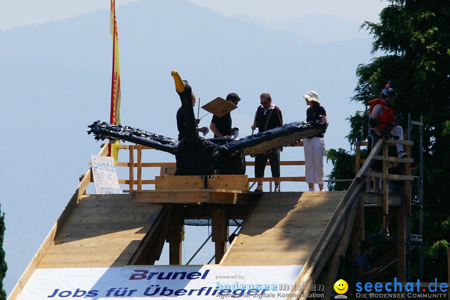 4. Internationales Seehafenfliegen 2010: Lindau am Bodensee, 26.06.2010