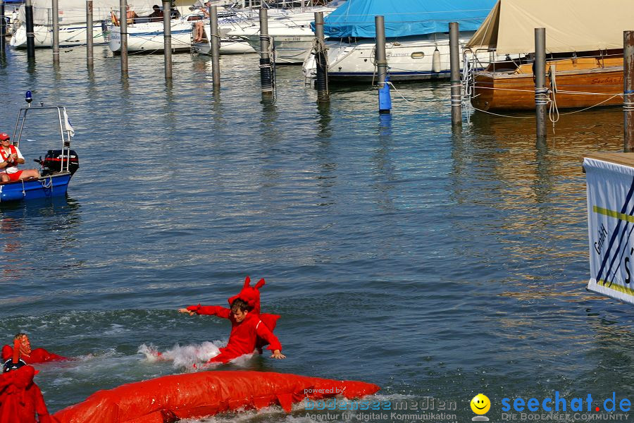 4. Internationales Seehafenfliegen 2010: Lindau am Bodensee, 26.06.2010