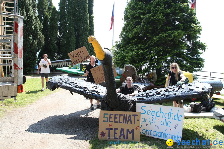 4. Internationales Seehafenfliegen 2010: Lindau am Bodensee, 26.06.2010