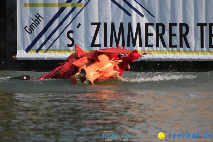 4. Internationales Seehafenfliegen 2010: Lindau am Bodensee, 26.06.2010