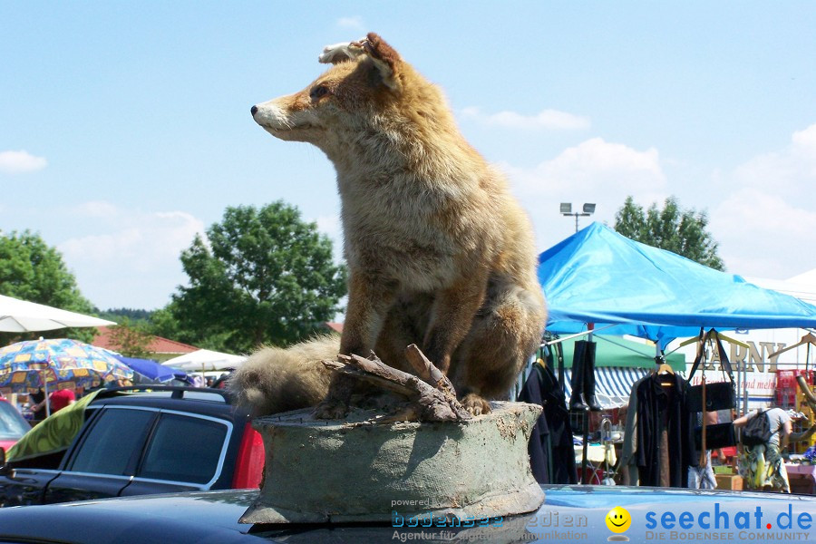 Sommerfest und Flohmarkt: Uttenweiler bei Biberach, 27.06.2010