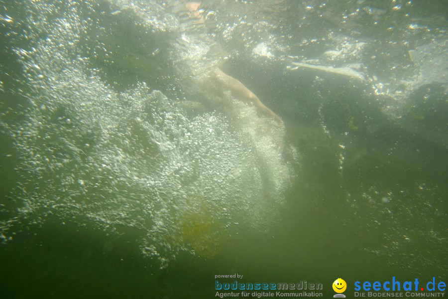 Badewannenrennen 2010: Wasserburg am Bodensee, 10.07.2010