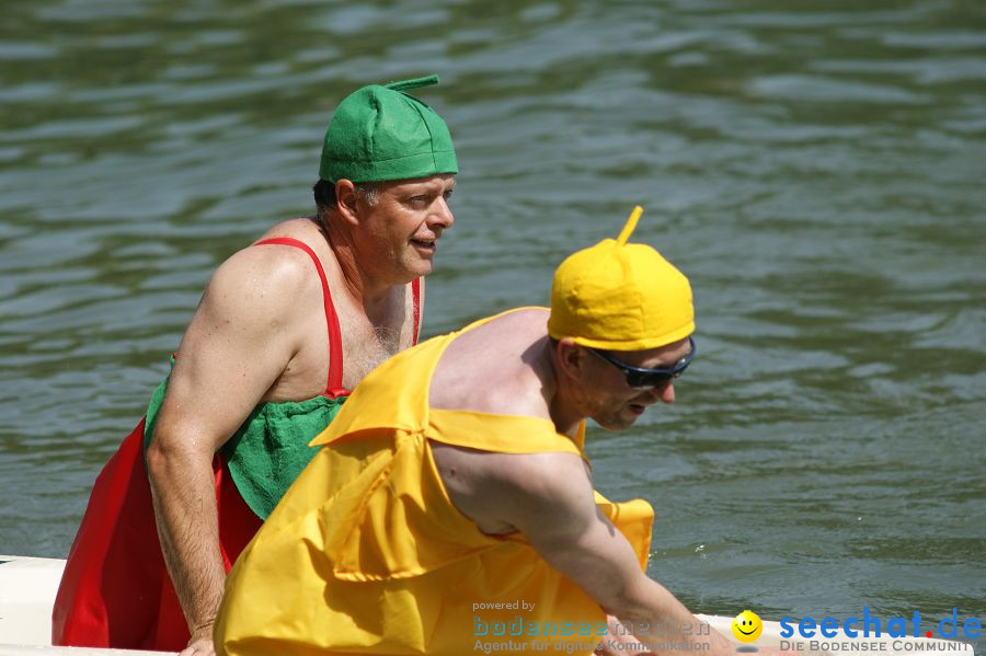 Badewannenrennen 2010: Wasserburg am Bodensee, 10.07.2010