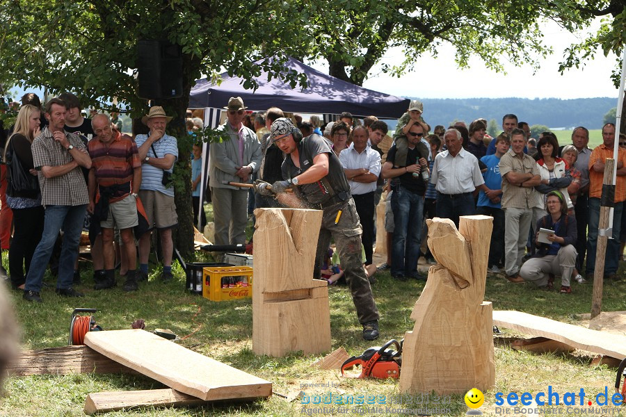 Kettenschnitzerfest: Danketsweiler bei Ravensburg, 25.07.2010