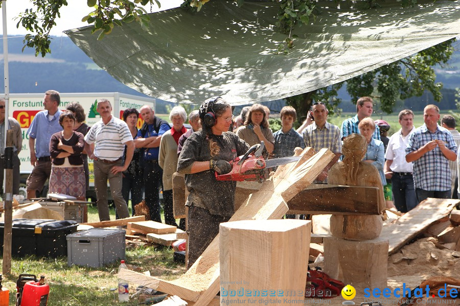 Kettenschnitzerfest: Danketsweiler bei Ravensburg, 25.07.2010