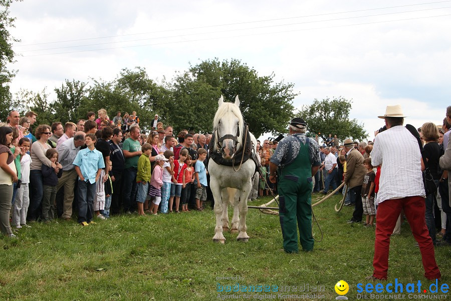 Kettenschnitzerfest: Danketsweiler bei Ravensburg, 25.07.2010