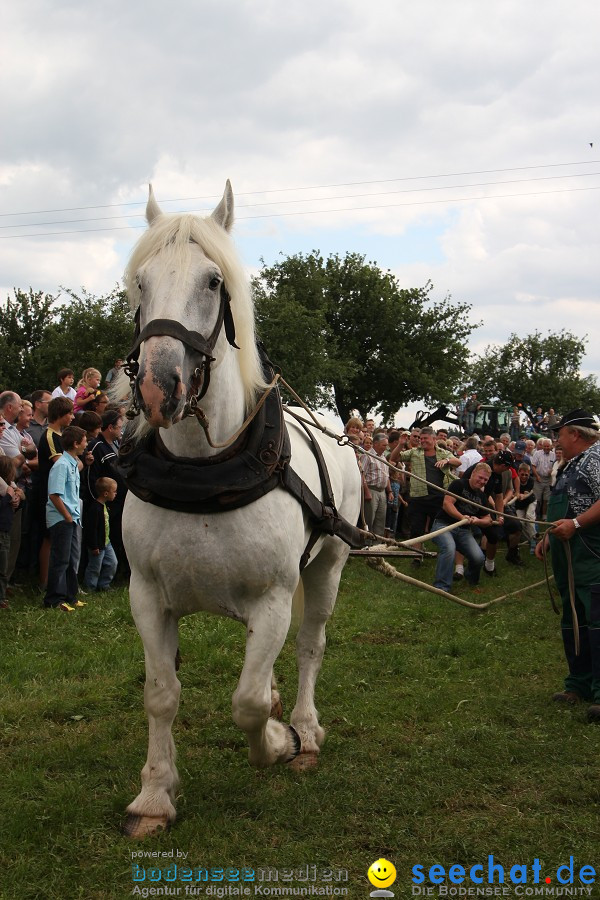 Kettenschnitzerfest: Danketsweiler bei Ravensburg, 25.07.2010