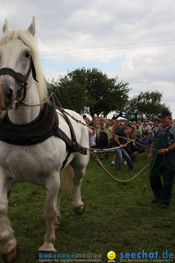 Kettenschnitzerfest: Danketsweiler bei Ravensburg, 25.07.2010