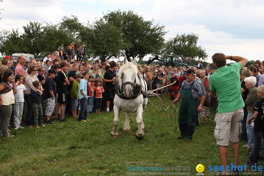 Kettenschnitzerfest: Danketsweiler bei Ravensburg, 25.07.2010