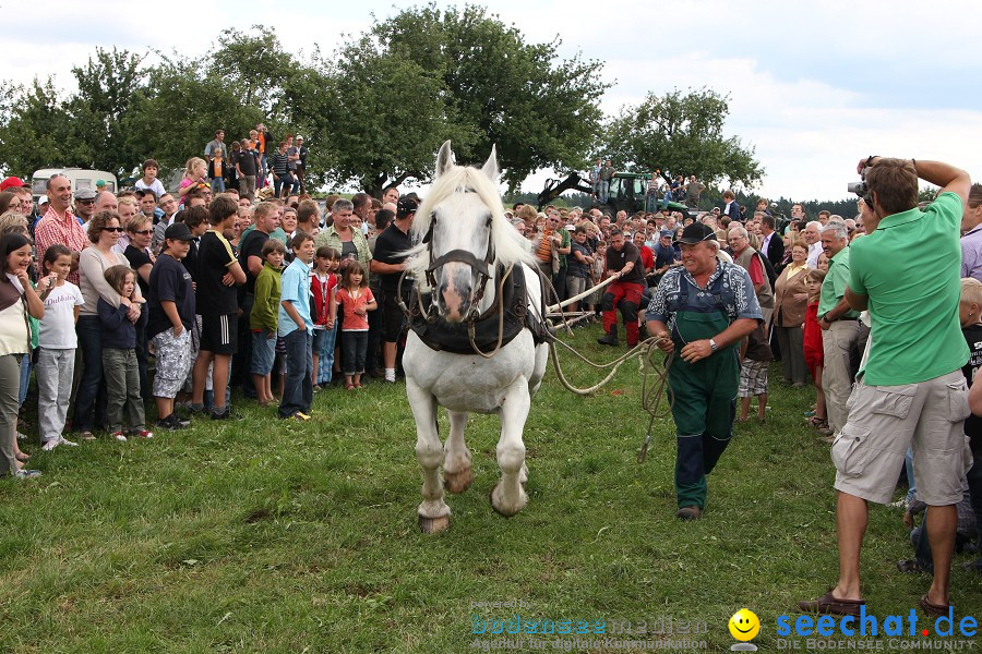 Kettenschnitzerfest: Danketsweiler bei Ravensburg, 25.07.2010