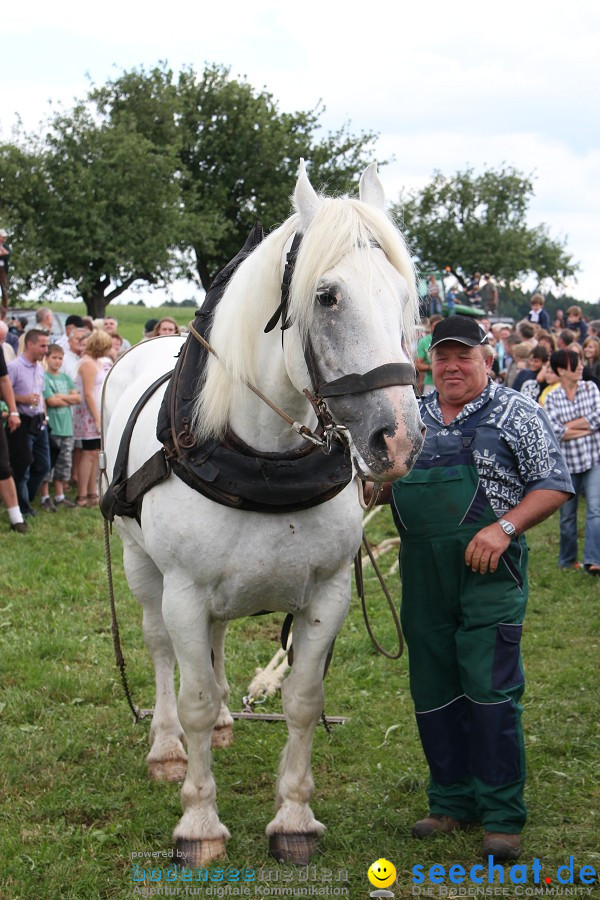 Kettenschnitzerfest: Danketsweiler bei Ravensburg, 25.07.2010