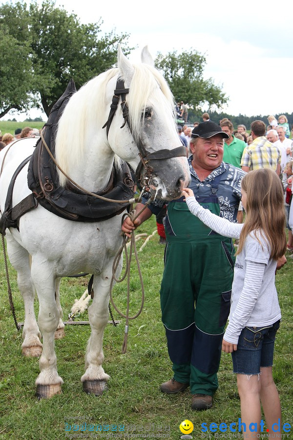 Kettenschnitzerfest: Danketsweiler bei Ravensburg, 25.07.2010