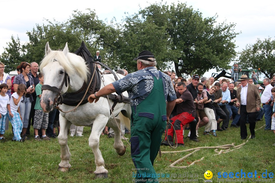 Kettenschnitzerfest: Danketsweiler bei Ravensburg, 25.07.2010