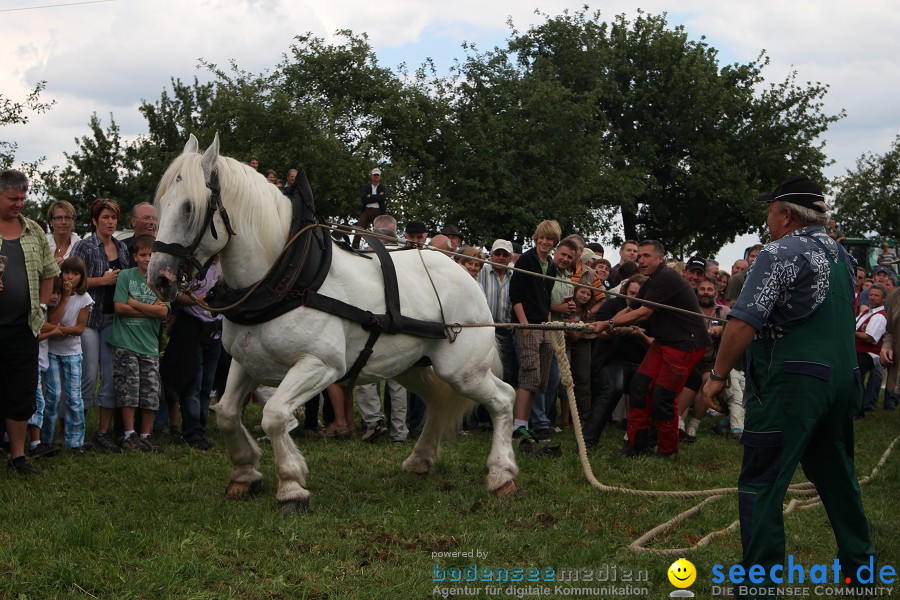 Kettenschnitzerfest: Danketsweiler bei Ravensburg, 25.07.2010