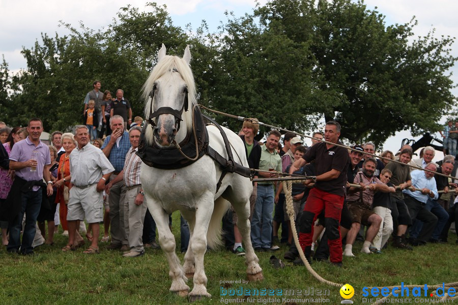 Kettenschnitzerfest: Danketsweiler bei Ravensburg, 25.07.2010