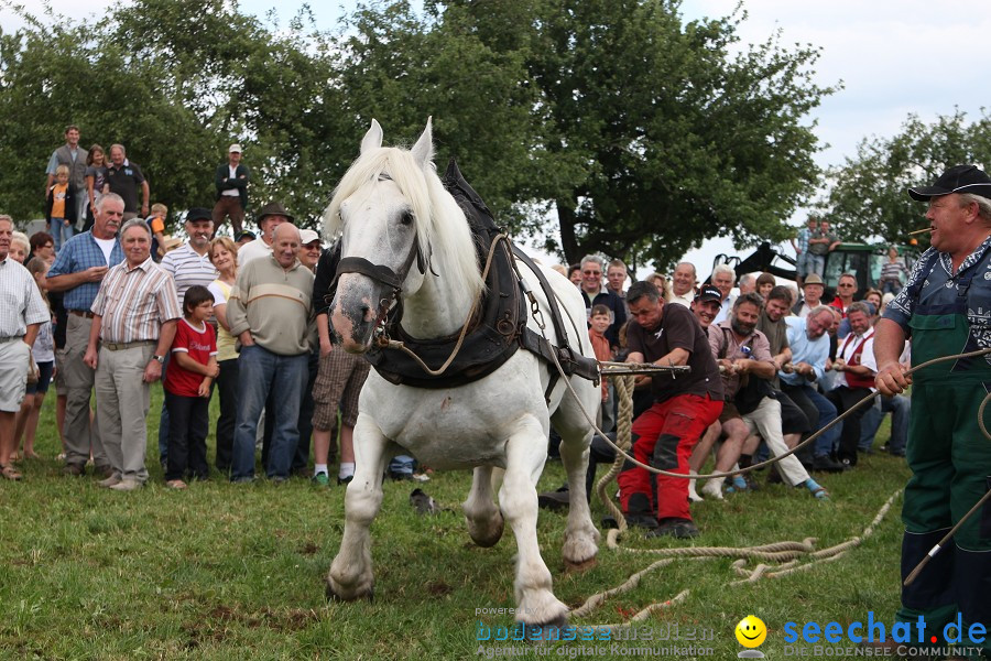 Kettenschnitzerfest: Danketsweiler bei Ravensburg, 25.07.2010