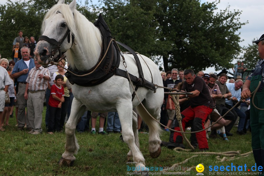 Kettenschnitzerfest: Danketsweiler bei Ravensburg, 25.07.2010