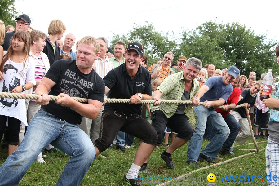 Kettenschnitzerfest: Danketsweiler bei Ravensburg, 25.07.2010