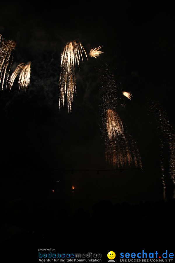 Schlossseefest 2010 mit Feuerwerk: Salem, 31.07.2010